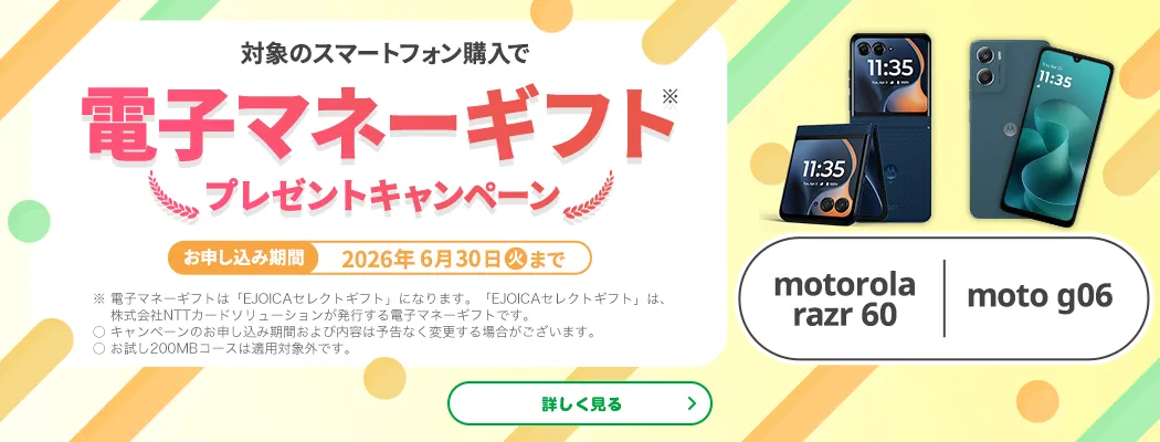 マイネオで使える端末と購入方法