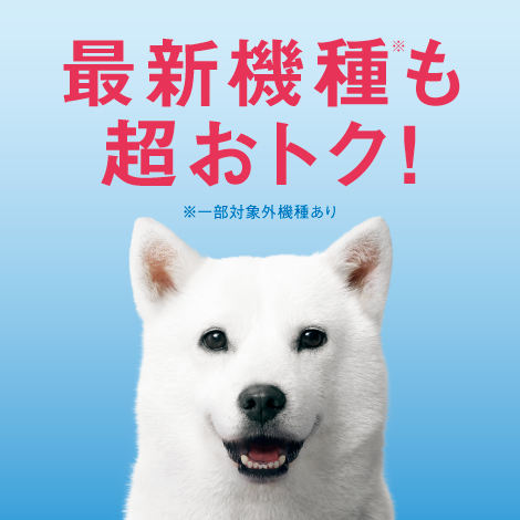 公式オンラインショップでiPhone1円契約